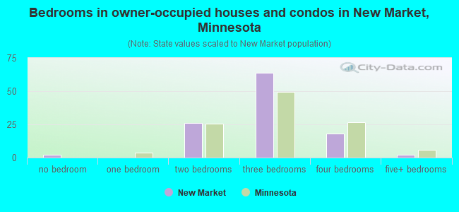 Bedrooms in owner-occupied houses and condos in New Market, Minnesota