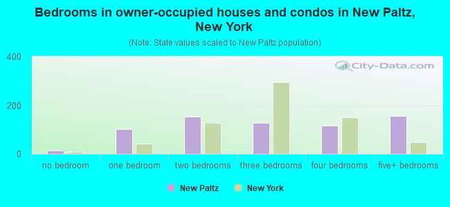 Bedrooms in owner-occupied houses and condos in New Paltz, New York