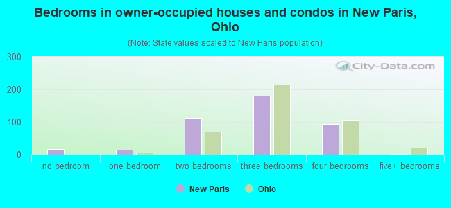 Bedrooms in owner-occupied houses and condos in New Paris, Ohio