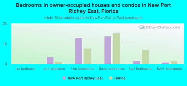 Bedrooms in owner-occupied houses and condos in New Port Richey East, Florida