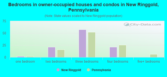 Bedrooms in owner-occupied houses and condos in New Ringgold, Pennsylvania
