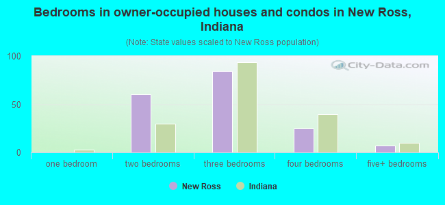 Bedrooms in owner-occupied houses and condos in New Ross, Indiana