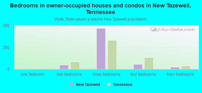 Bedrooms in owner-occupied houses and condos in New Tazewell, Tennessee