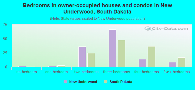 Bedrooms in owner-occupied houses and condos in New Underwood, South Dakota
