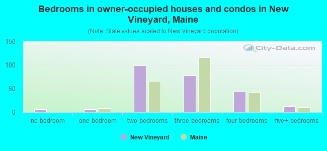 Bedrooms in owner-occupied houses and condos in New Vineyard, Maine