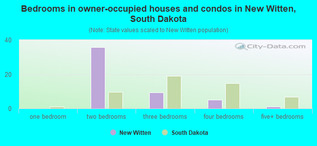 Bedrooms in owner-occupied houses and condos in New Witten, South Dakota