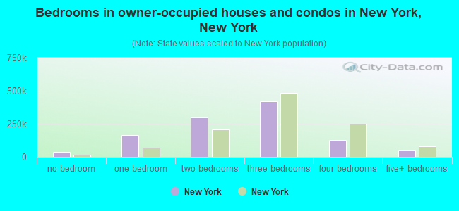 Bedrooms in owner-occupied houses and condos in New York, New York