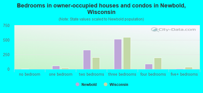 Bedrooms in owner-occupied houses and condos in Newbold, Wisconsin