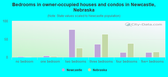 Bedrooms in owner-occupied houses and condos in Newcastle, Nebraska