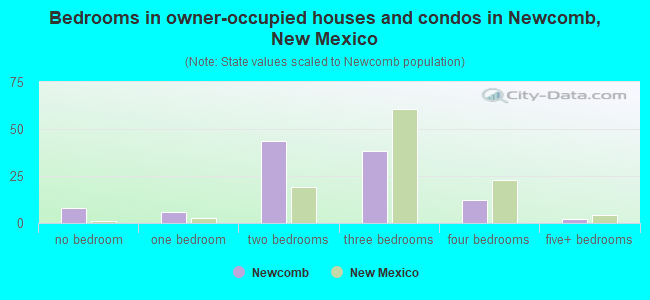 Bedrooms in owner-occupied houses and condos in Newcomb, New Mexico