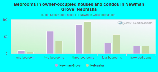 Bedrooms in owner-occupied houses and condos in Newman Grove, Nebraska