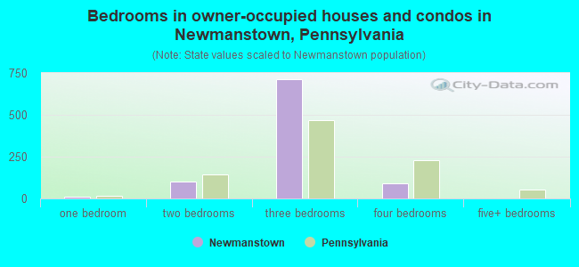 Bedrooms in owner-occupied houses and condos in Newmanstown, Pennsylvania