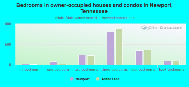 Bedrooms in owner-occupied houses and condos in Newport, Tennessee