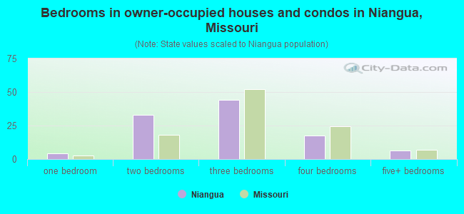 Bedrooms in owner-occupied houses and condos in Niangua, Missouri