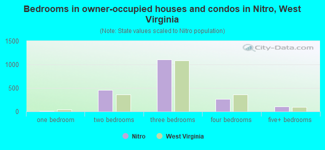 Bedrooms in owner-occupied houses and condos in Nitro, West Virginia