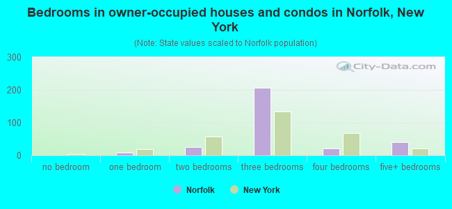 Bedrooms in owner-occupied houses and condos in Norfolk, New York