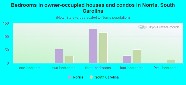 Bedrooms in owner-occupied houses and condos in Norris, South Carolina