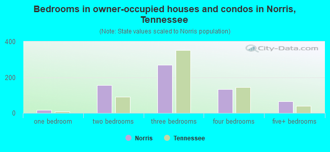 Bedrooms in owner-occupied houses and condos in Norris, Tennessee