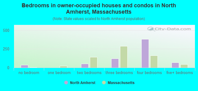 Bedrooms in owner-occupied houses and condos in North Amherst, Massachusetts