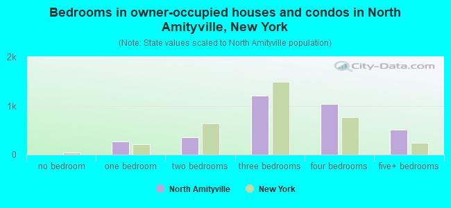 Bedrooms in owner-occupied houses and condos in North Amityville, New York