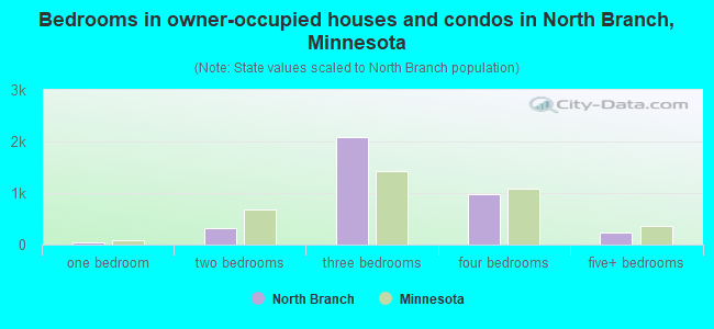 Bedrooms in owner-occupied houses and condos in North Branch, Minnesota
