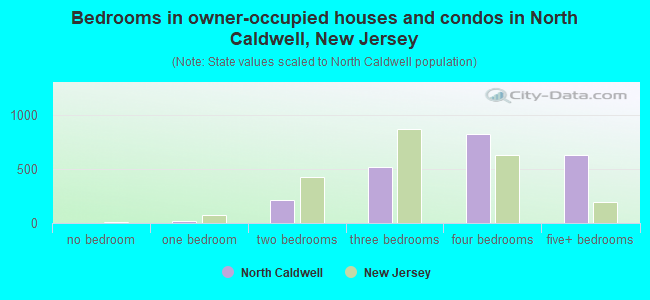 Bedrooms in owner-occupied houses and condos in North Caldwell, New Jersey