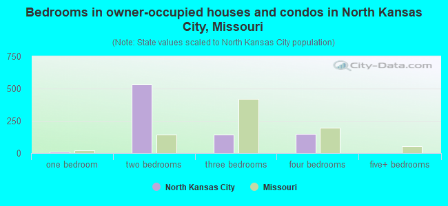 Bedrooms in owner-occupied houses and condos in North Kansas City, Missouri