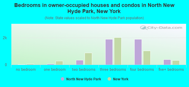 Bedrooms in owner-occupied houses and condos in North New Hyde Park, New York