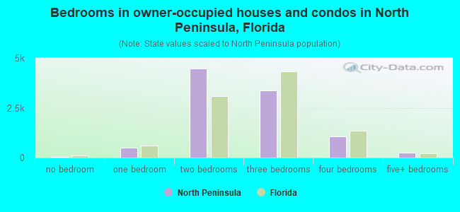 Bedrooms in owner-occupied houses and condos in North Peninsula, Florida