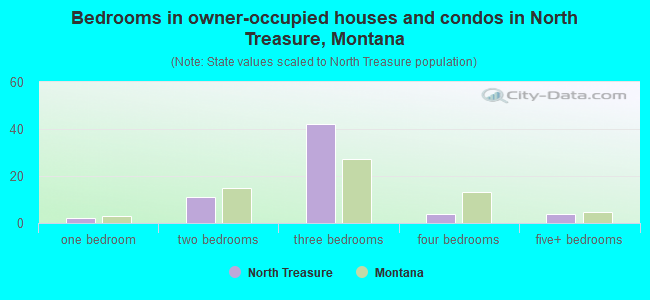 Bedrooms in owner-occupied houses and condos in North Treasure, Montana