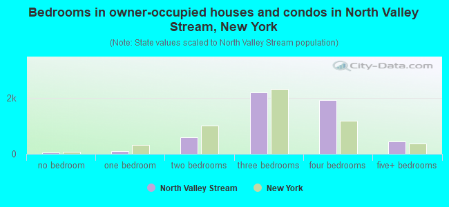 Bedrooms in owner-occupied houses and condos in North Valley Stream, New York