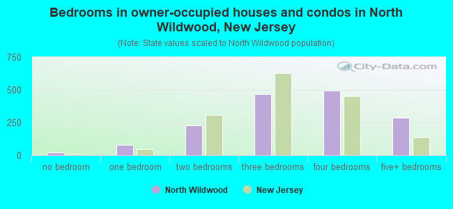 Bedrooms in owner-occupied houses and condos in North Wildwood, New Jersey