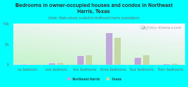 Bedrooms in owner-occupied houses and condos in Northeast Harris, Texas