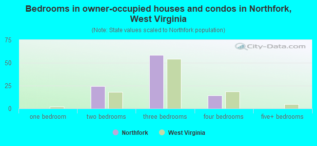 Bedrooms in owner-occupied houses and condos in Northfork, West Virginia