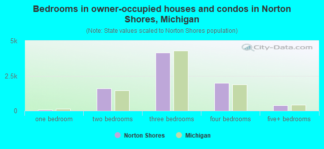 Bedrooms in owner-occupied houses and condos in Norton Shores, Michigan