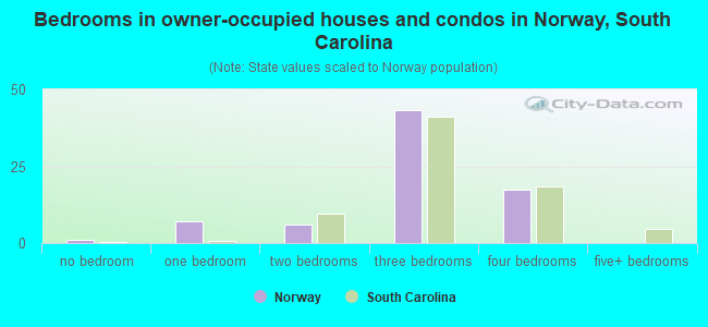 Bedrooms in owner-occupied houses and condos in Norway, South Carolina