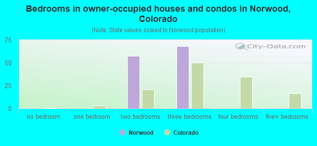 Bedrooms in owner-occupied houses and condos in Norwood, Colorado