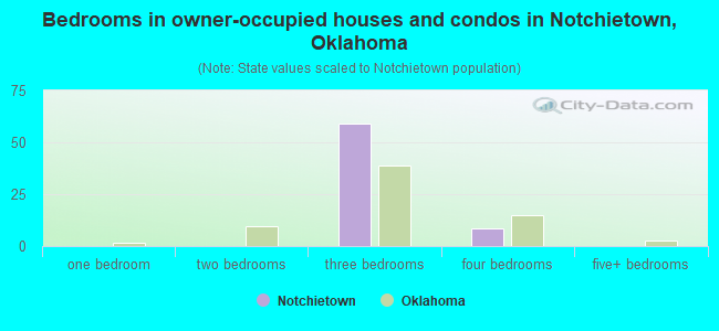 Bedrooms in owner-occupied houses and condos in Notchietown, Oklahoma