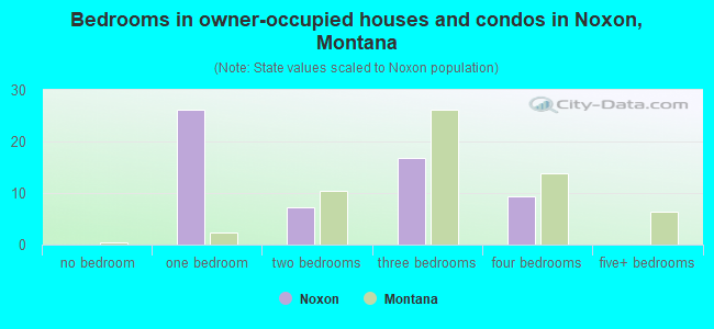 Bedrooms in owner-occupied houses and condos in Noxon, Montana