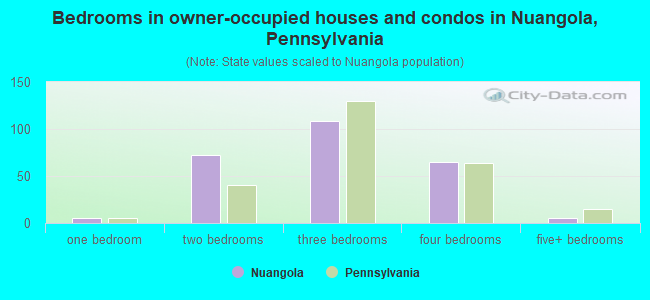 Bedrooms in owner-occupied houses and condos in Nuangola, Pennsylvania