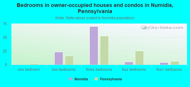 Bedrooms in owner-occupied houses and condos in Numidia, Pennsylvania