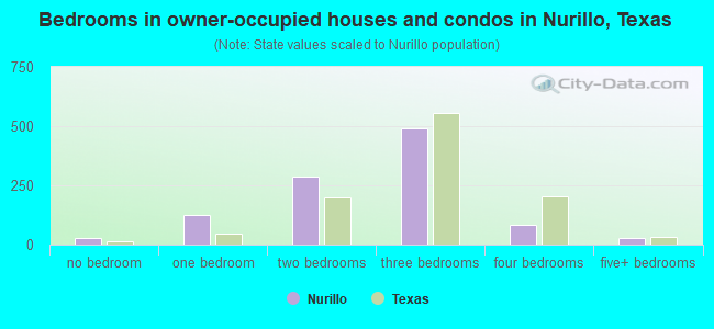 Bedrooms in owner-occupied houses and condos in Nurillo, Texas