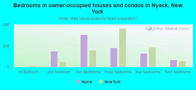 Bedrooms in owner-occupied houses and condos in Nyack, New York