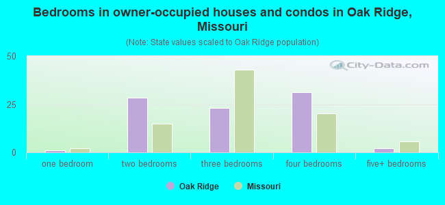 Bedrooms in owner-occupied houses and condos in Oak Ridge, Missouri