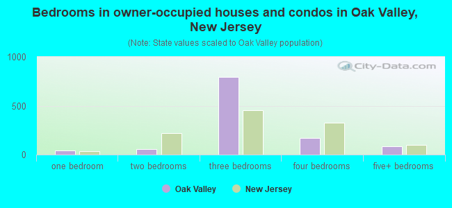 Bedrooms in owner-occupied houses and condos in Oak Valley, New Jersey