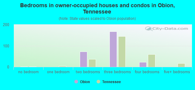 Bedrooms in owner-occupied houses and condos in Obion, Tennessee
