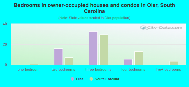 Bedrooms in owner-occupied houses and condos in Olar, South Carolina