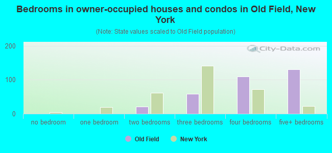 Bedrooms in owner-occupied houses and condos in Old Field, New York