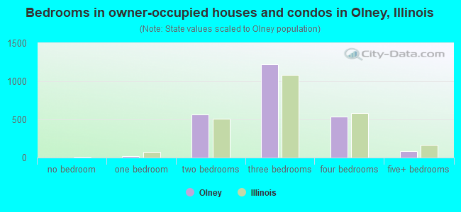 Bedrooms in owner-occupied houses and condos in Olney, Illinois