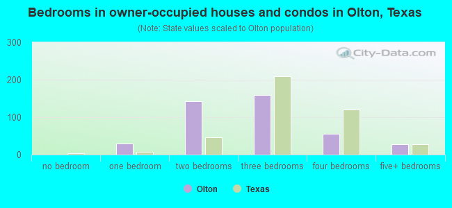 Bedrooms in owner-occupied houses and condos in Olton, Texas
